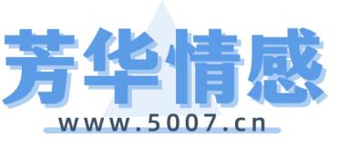 沙坪坝蜘蛛网公司